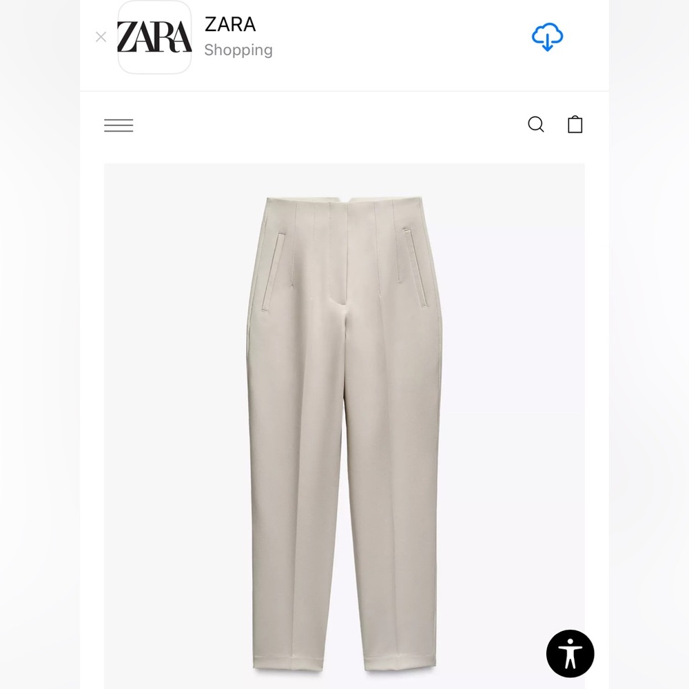 Zara high waisted pleated pants